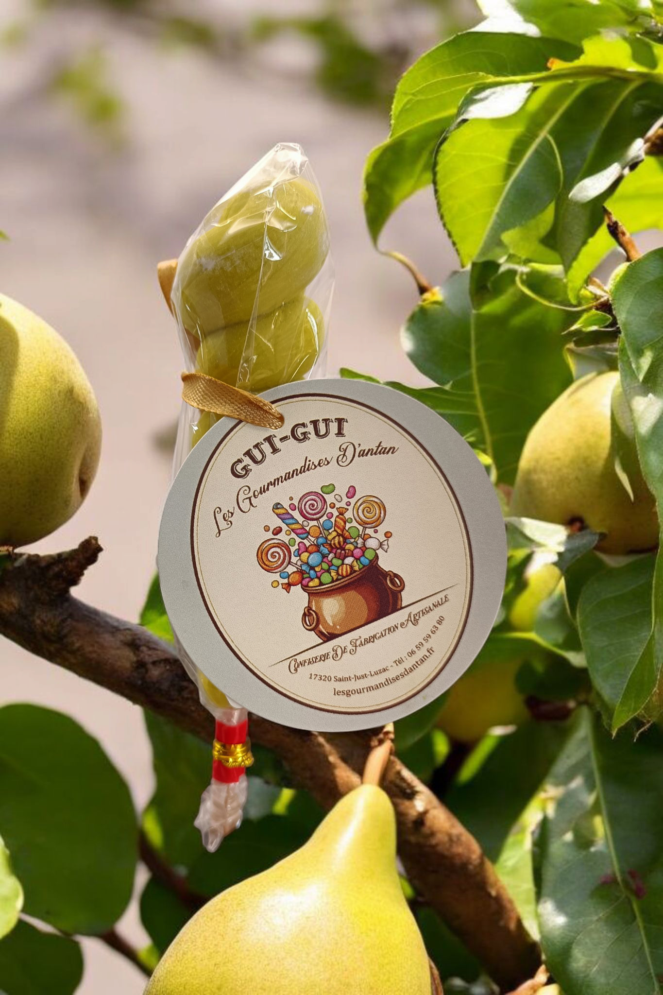 Sucette Torsade Poire